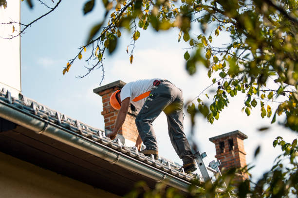 Best Gutter Replacement  in Wellston, OH