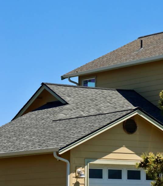 Best Roof Moss and Algae Removal  in Wellston, OH